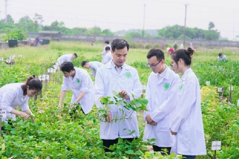 Từ nghịch lý thị trường đến kiến nghị thể chế quản trị đại học trong đào tạo nhân lực nông nghiệp